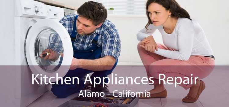 Kitchen Appliances Repair Alamo - California