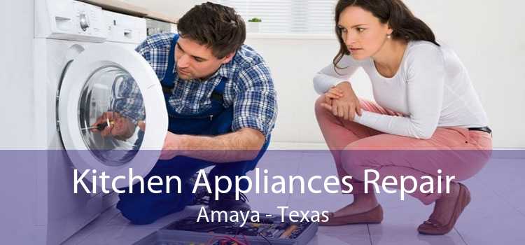 Kitchen Appliances Repair Amaya - Texas