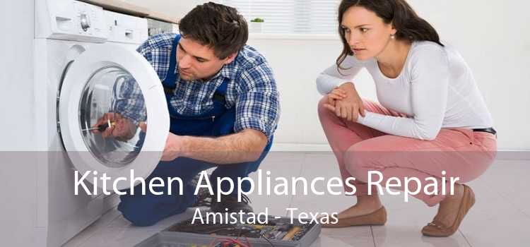 Kitchen Appliances Repair Amistad - Texas