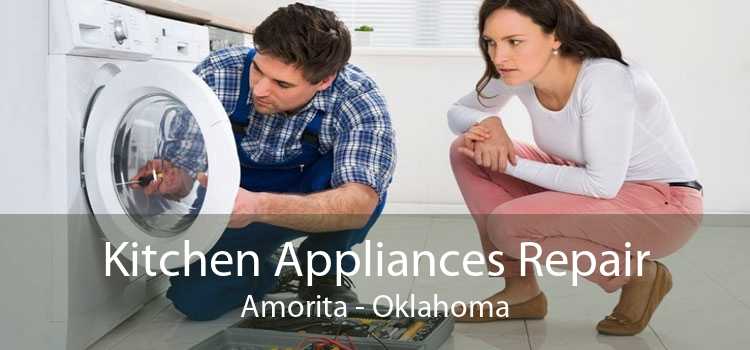 Kitchen Appliances Repair Amorita - Oklahoma