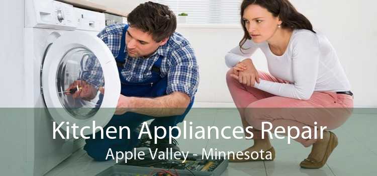 Kitchen Appliances Repair Apple Valley - Minnesota