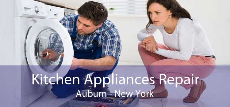 Kitchen Appliances Repair Auburn - New York