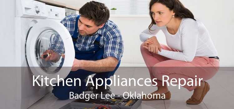 Kitchen Appliances Repair Badger Lee - Oklahoma