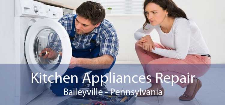 Kitchen Appliances Repair Baileyville - Pennsylvania