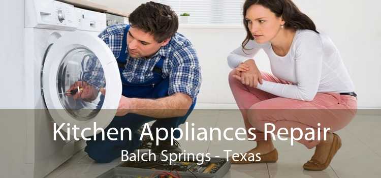 Kitchen Appliances Repair Balch Springs - Texas