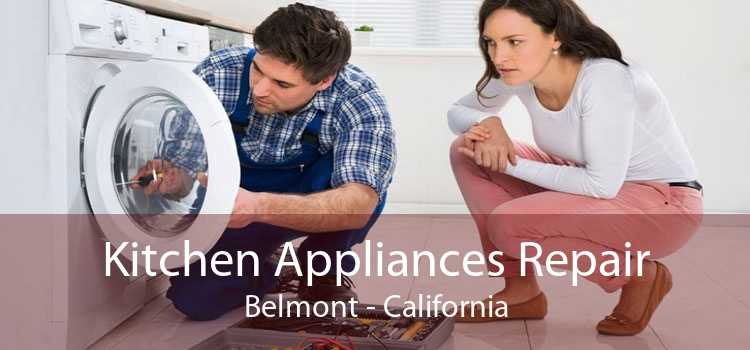 Kitchen Appliances Repair Belmont - California