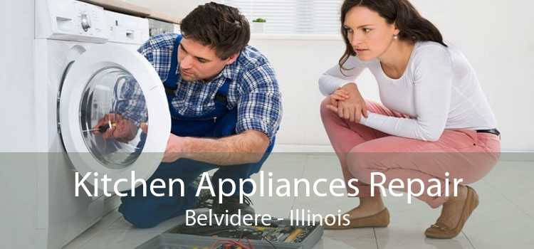 Kitchen Appliances Repair Belvidere - Illinois