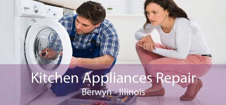 Kitchen Appliances Repair Berwyn - Illinois