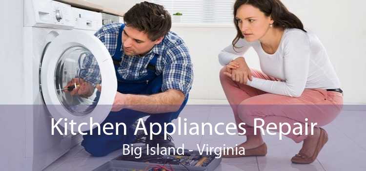Kitchen Appliances Repair Big Island - Virginia