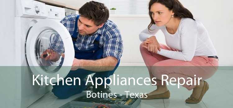 Kitchen Appliances Repair Botines - Texas