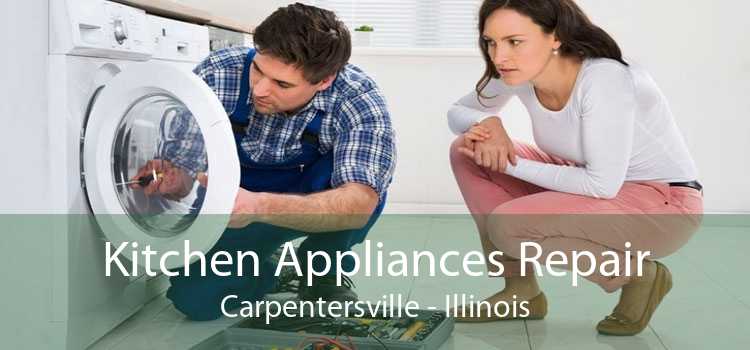 Kitchen Appliances Repair Carpentersville - Illinois