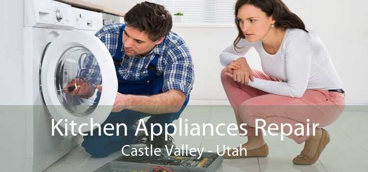 Kitchen Appliances Repair Castle Valley - Utah