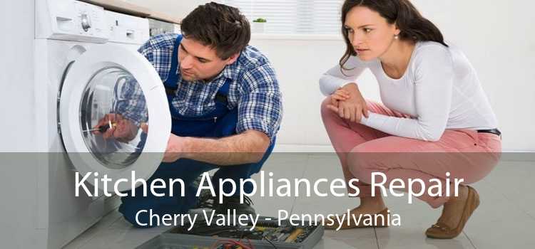 Kitchen Appliances Repair Cherry Valley - Pennsylvania