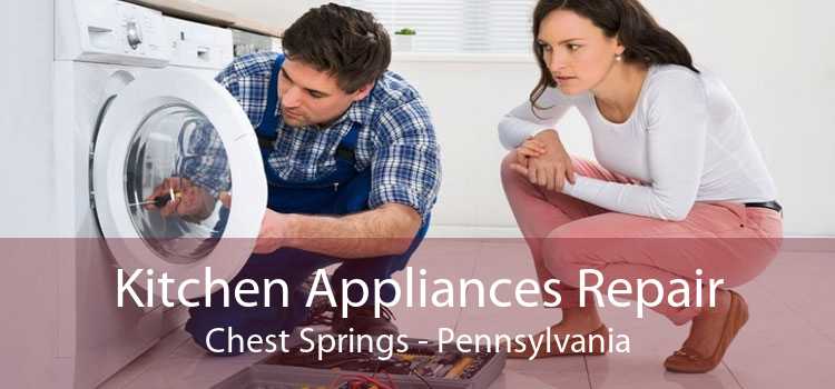 Kitchen Appliances Repair Chest Springs - Pennsylvania
