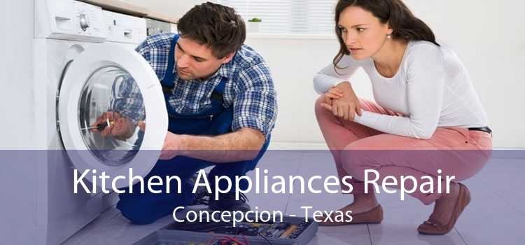 Kitchen Appliances Repair Concepcion - Texas