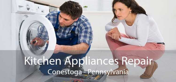 Kitchen Appliances Repair Conestoga - Pennsylvania