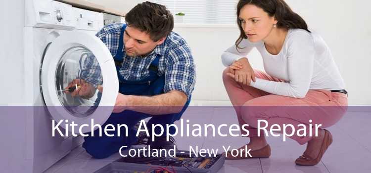 Kitchen Appliances Repair Cortland - New York