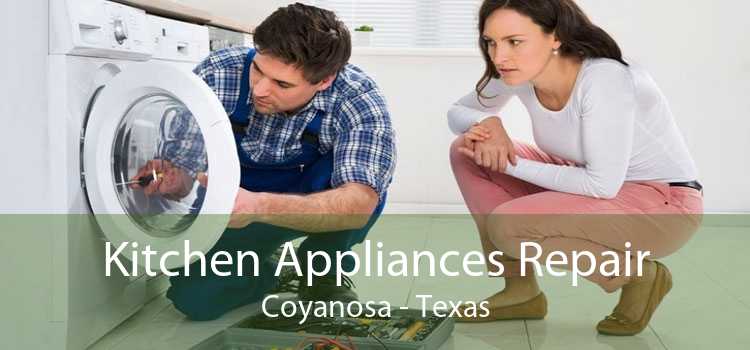 Kitchen Appliances Repair Coyanosa - Texas