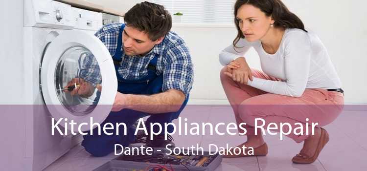Kitchen Appliances Repair Dante - South Dakota