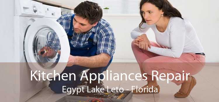 Kitchen Appliances Repair Egypt Lake Leto - Florida