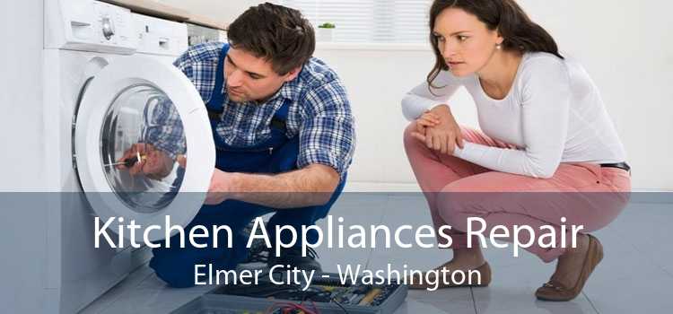 Kitchen Appliances Repair Elmer City - Washington