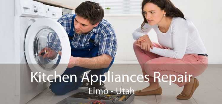 Kitchen Appliances Repair Elmo - Utah