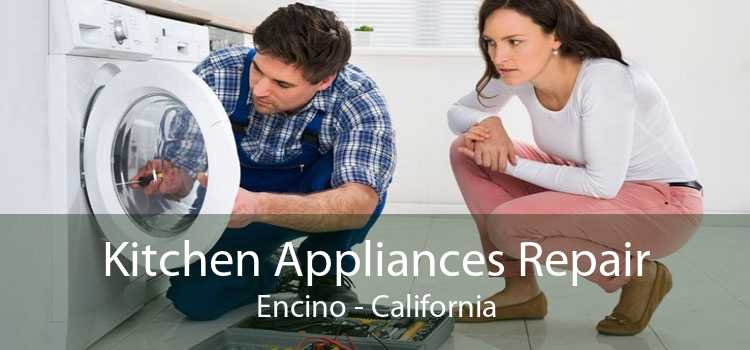 Kitchen Appliances Repair Encino - California