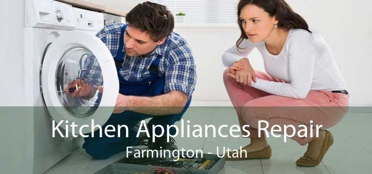 Kitchen Appliances Repair Farmington - Utah
