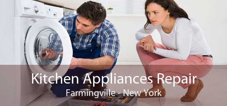 Kitchen Appliances Repair Farmingville - New York
