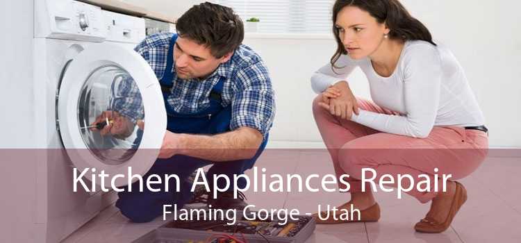 Kitchen Appliances Repair Flaming Gorge - Utah