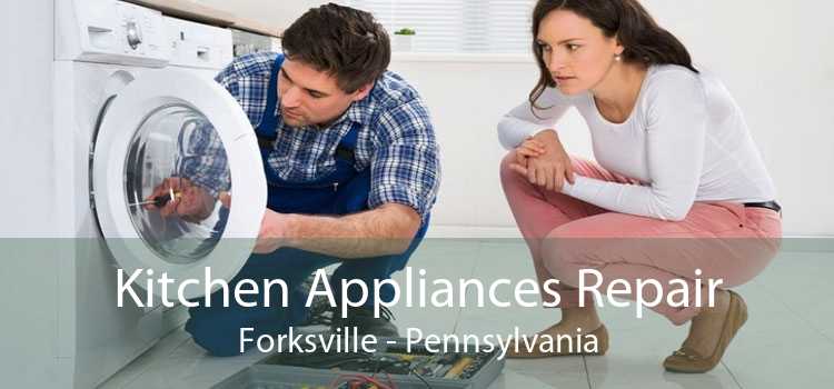 Kitchen Appliances Repair Forksville - Pennsylvania