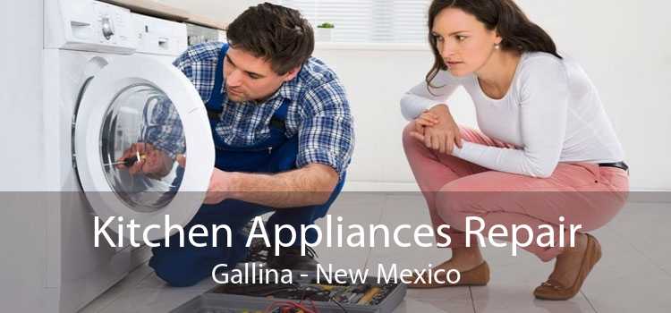 Kitchen Appliances Repair Gallina - New Mexico