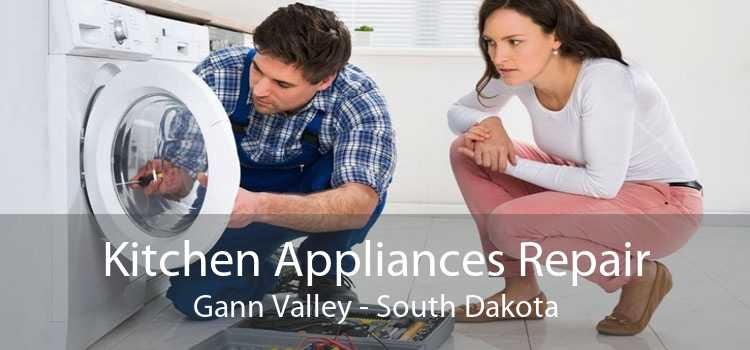 Kitchen Appliances Repair Gann Valley - South Dakota