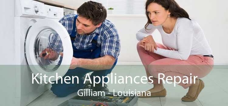 Kitchen Appliances Repair Gilliam - Louisiana