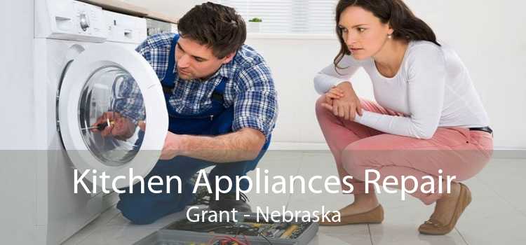 Kitchen Appliances Repair Grant - Nebraska