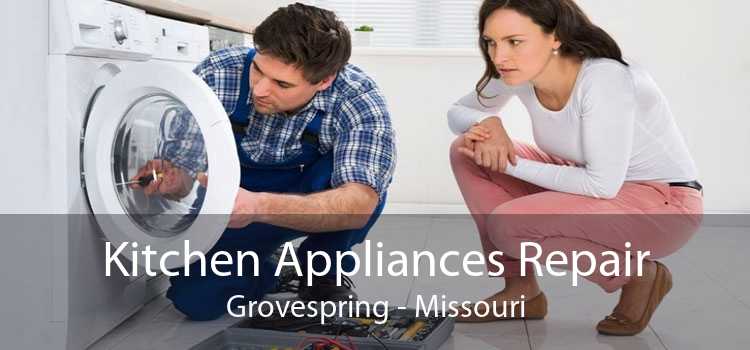 Kitchen Appliances Repair Grovespring - Missouri