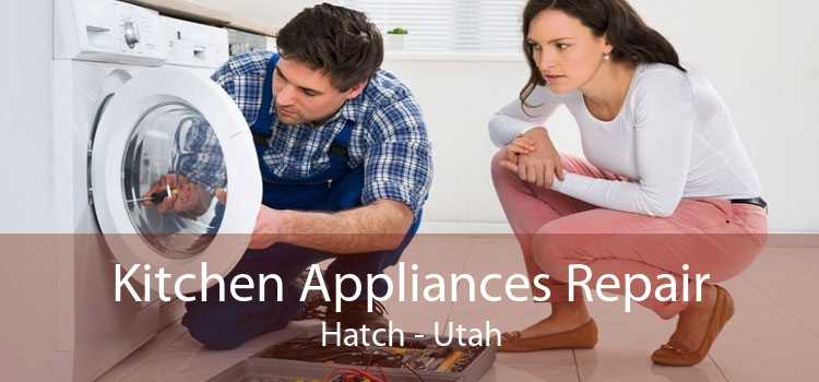 Kitchen Appliances Repair Hatch - Utah