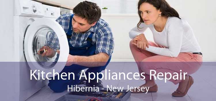 Kitchen Appliances Repair Hibernia - New Jersey
