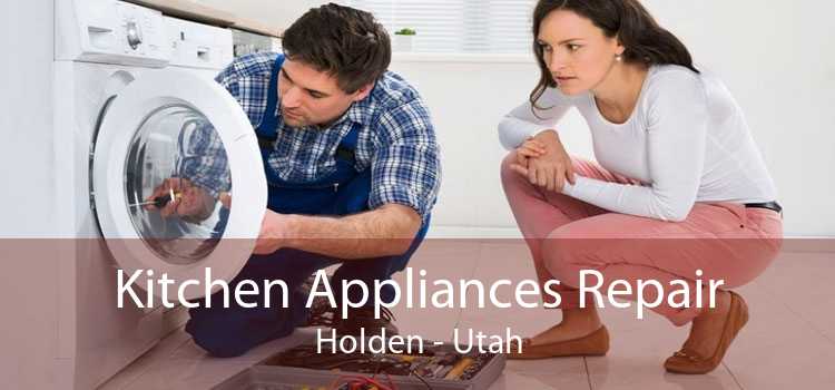 Kitchen Appliances Repair Holden - Utah