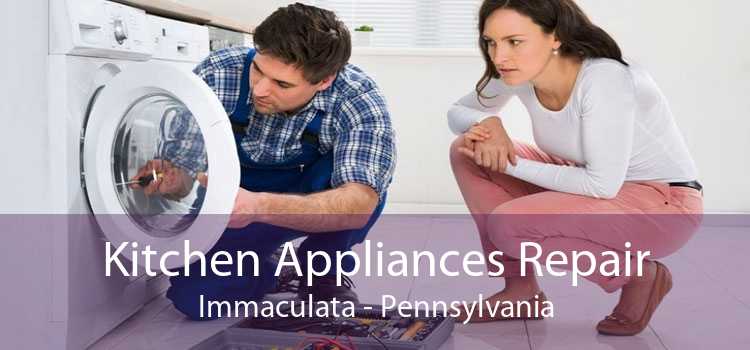 Kitchen Appliances Repair Immaculata - Pennsylvania