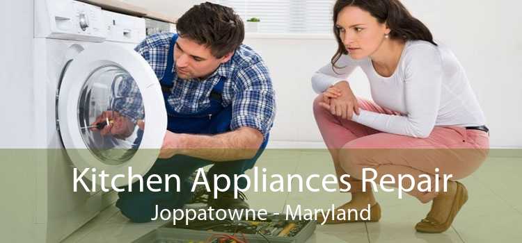 Kitchen Appliances Repair Joppatowne - Maryland