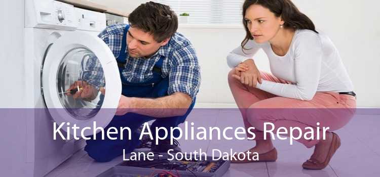 Kitchen Appliances Repair Lane - South Dakota
