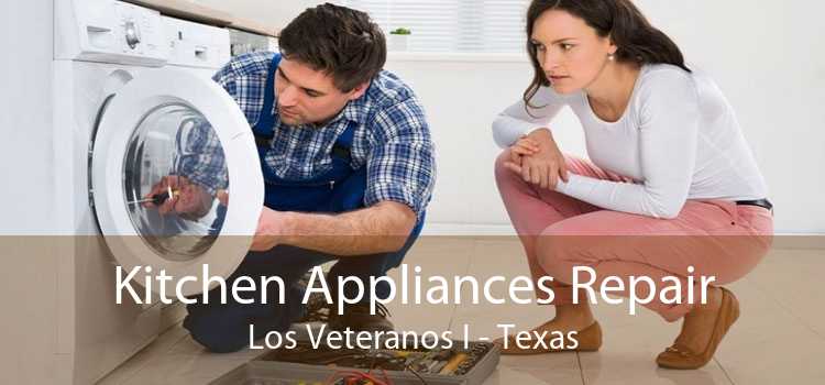 Kitchen Appliances Repair Los Veteranos I - Texas