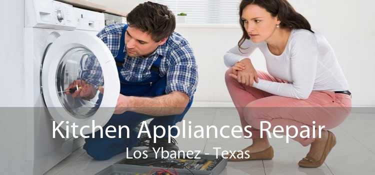 Kitchen Appliances Repair Los Ybanez - Texas
