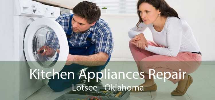 Kitchen Appliances Repair Lotsee - Oklahoma
