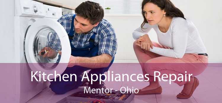 Kitchen Appliances Repair Mentor - Ohio