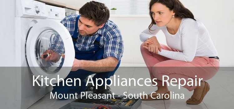 Kitchen Appliances Repair Mount Pleasant - South Carolina