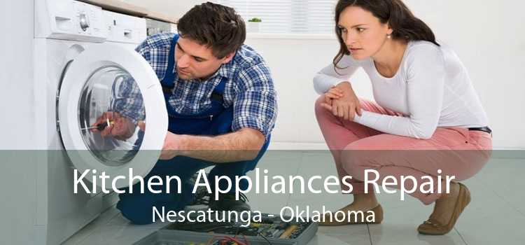 Kitchen Appliances Repair Nescatunga - Oklahoma