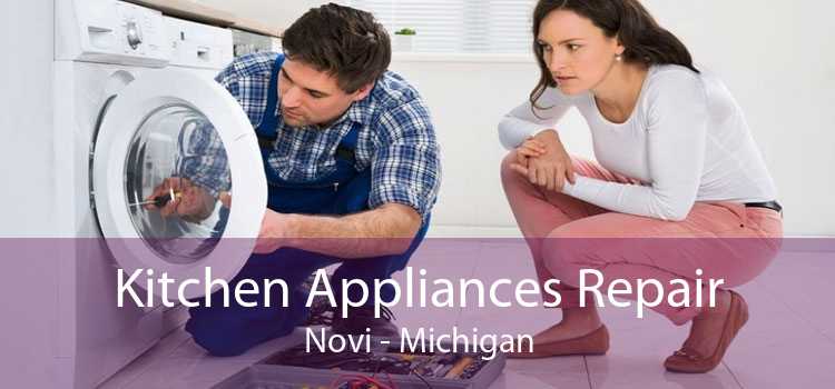 Kitchen Appliances Repair Novi - Michigan
