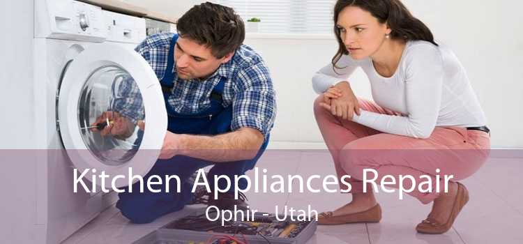 Kitchen Appliances Repair Ophir - Utah
